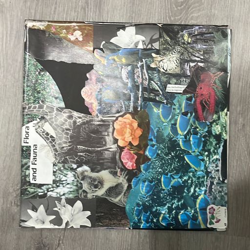 image of FLORA AND FAUNA #1