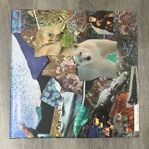 image of FLORA AND FAUNA #2