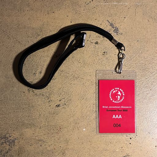 image of Brian Jonestown Massacre All Access Pass #004 