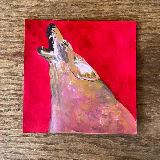 image of Coyote