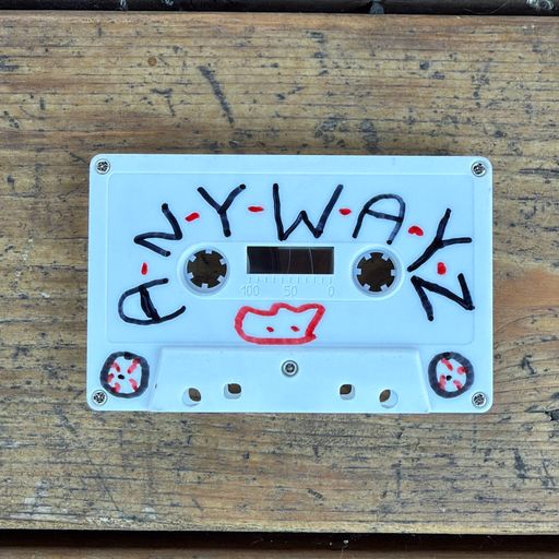 image of 1 off Cassingle recording of “Anywayz”