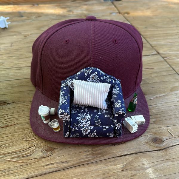 image of Working from home hat