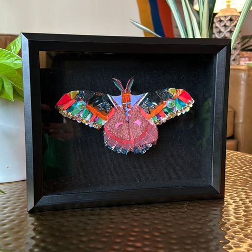 image of Mirror Moth 