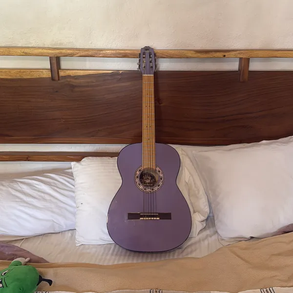 image of Energy of Light/Incognita Purple Nylon Guitar