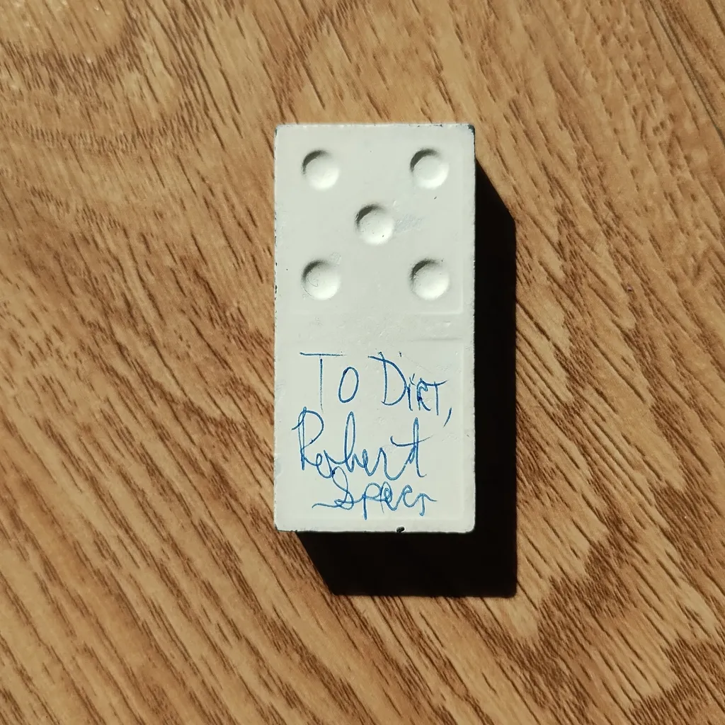 image of The Bravery Domino from Music Video