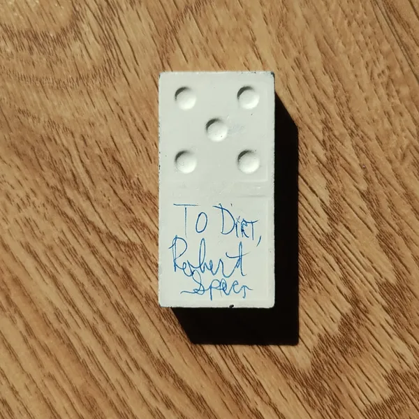 image of The Bravery Domino from Music Video