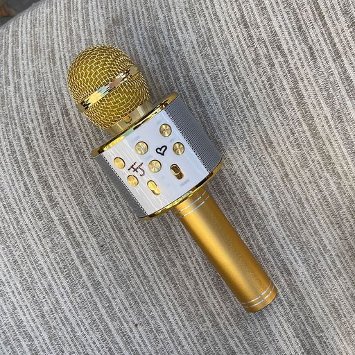 image of TJ's gold mic from Tik Tok as it was video 